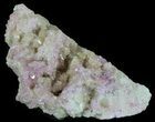 Sparkly Vesuvianite - Jeffrey Mine, Canada #64085-1